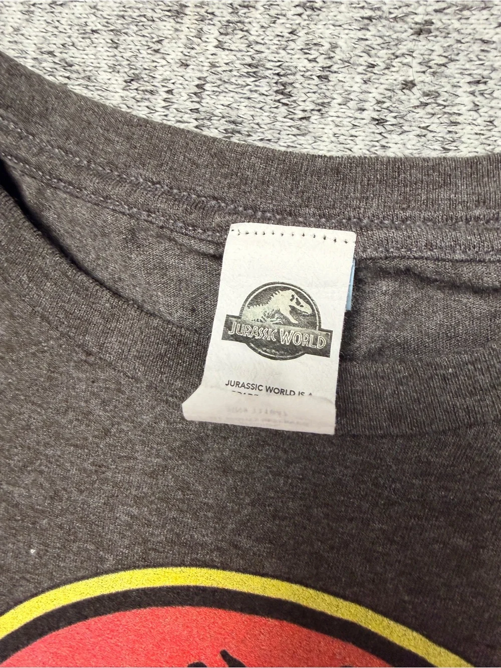 Kids' Gray Graphic Tee Jurassic Park